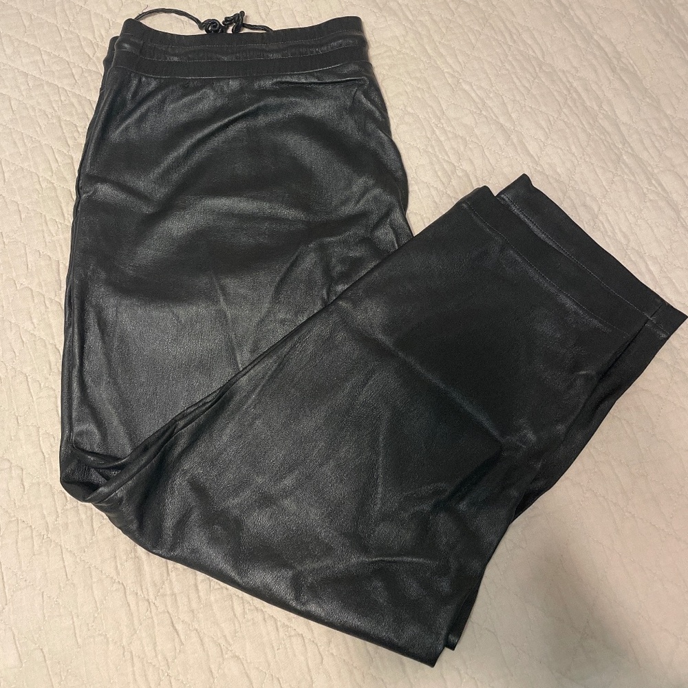 Loft Faux Leather Pants (Petite)